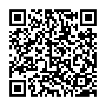 QR code for 300BSP