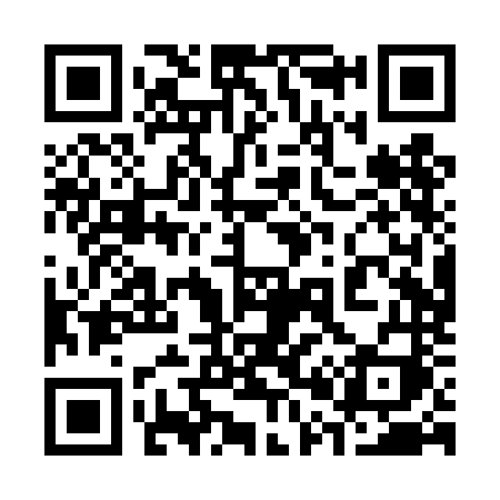 QR code for 300TNI