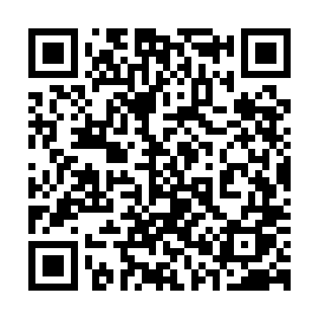 QR code for 307QLQ