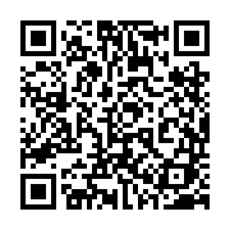 QR code for 308SDI