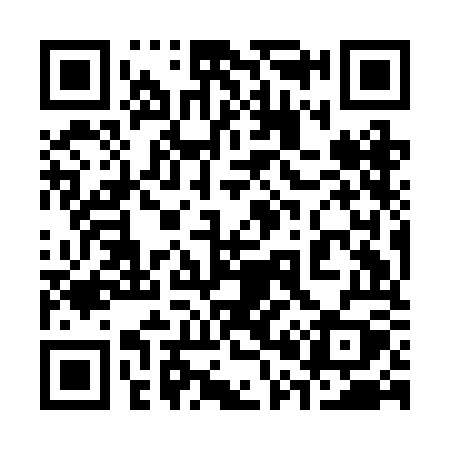 QR code for 309BOY