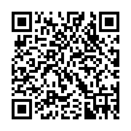 QR code for 311DLU