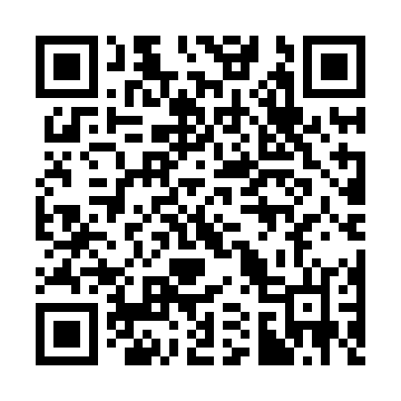 QR code for 311HOL