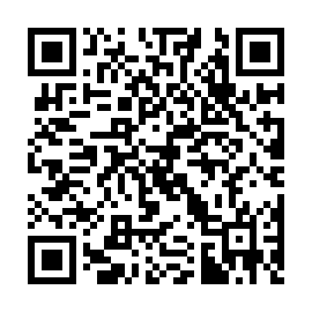 QR code for 311IOO