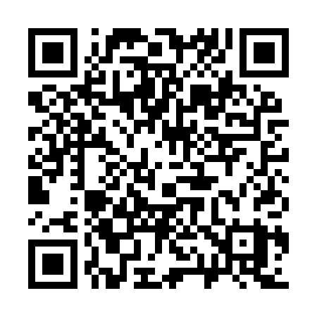 QR code for 311IPY