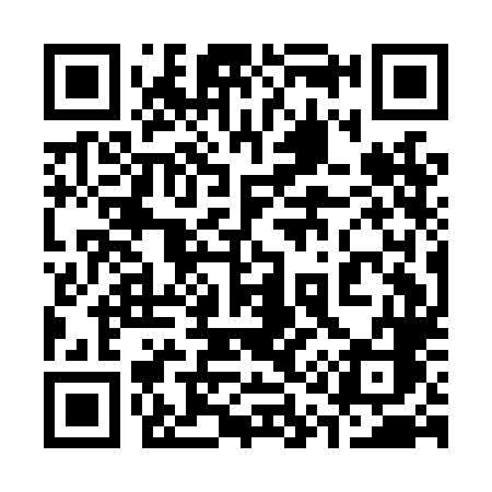 QR code for 311LLC