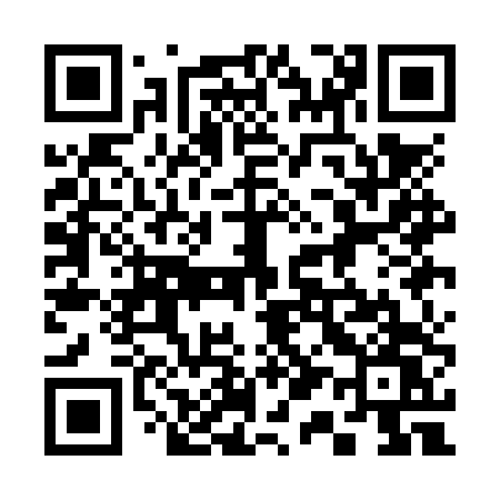 QR code for 311NTW