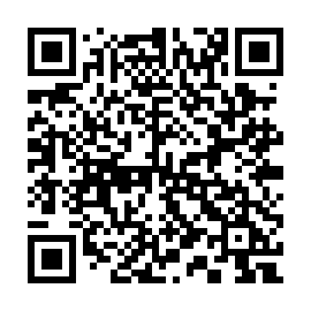 QR code for 311PDE