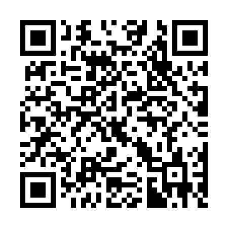 QR code for 311POC