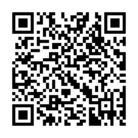QR code for 311PZL