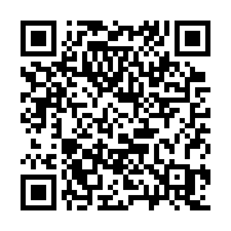 QR code for 311SRC