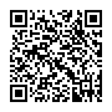 QR code for 311XRL
