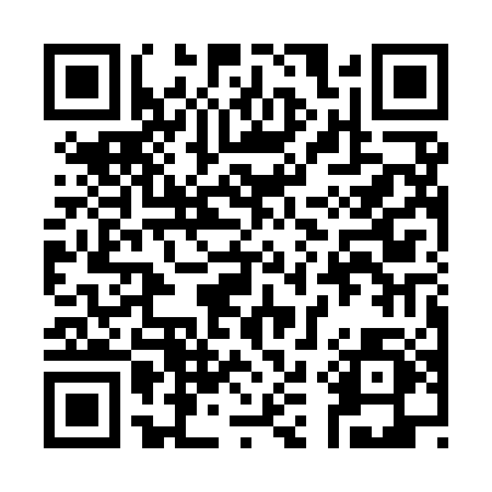 QR code for 311YAP