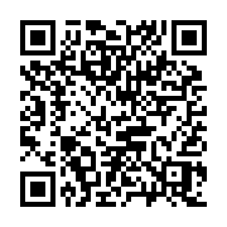 QR code for 311ZAR