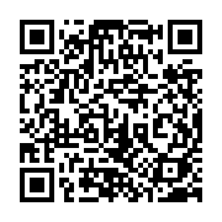 QR code for 311ZUI