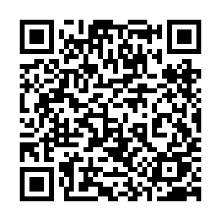 QR code for 313BIU