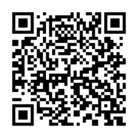 QR code for 313BIV