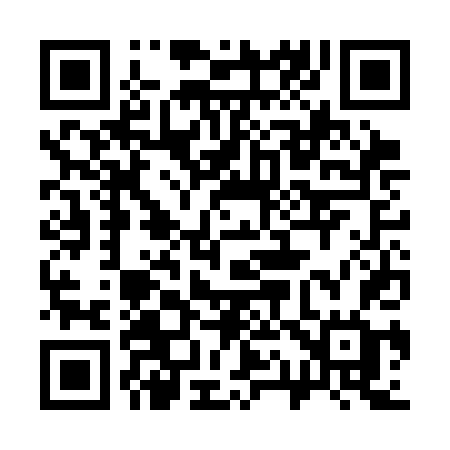 QR code for 313CDG