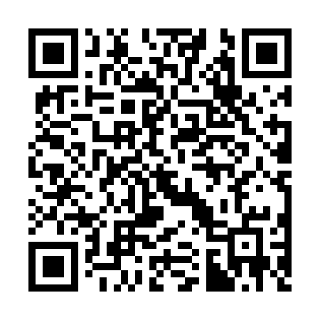 QR code for 313DCE