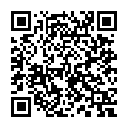 QR code for 313DCP