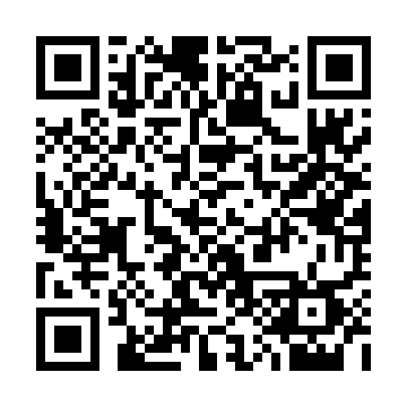 QR code for 313DCT