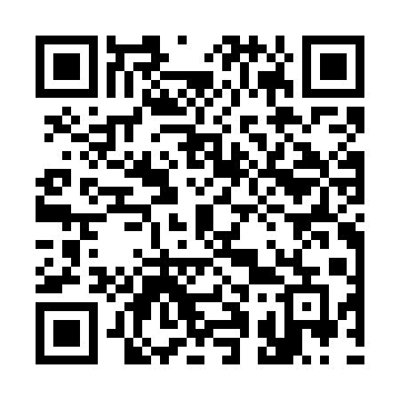 QR code for 313GAE