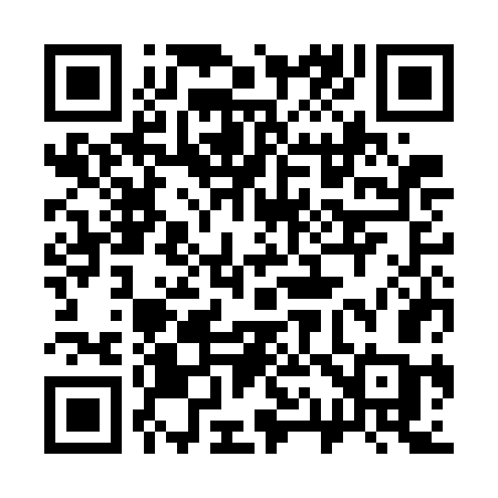 QR code for 313GGC