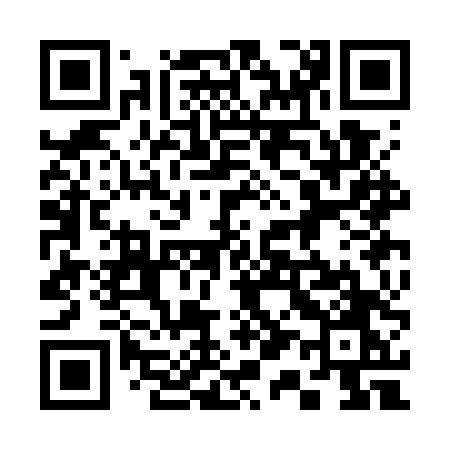 QR code for 313GTO