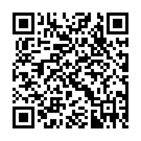 QR code for 313HIN