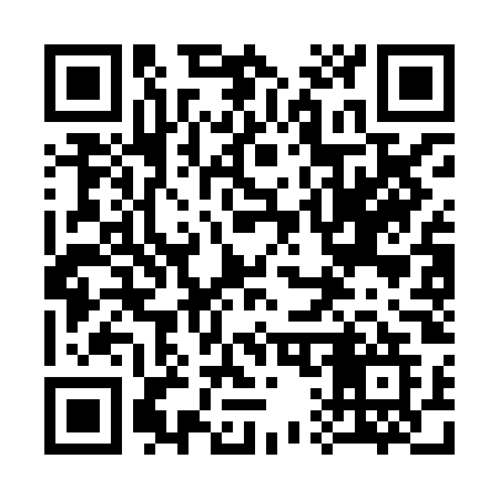 QR code for 313HOG