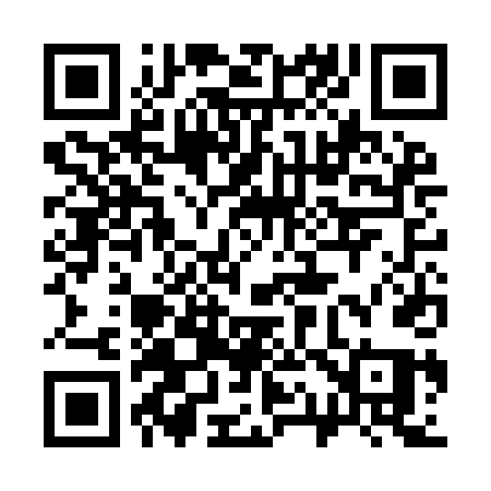 QR code for 313IDQ