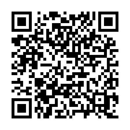 QR code for 313IIH