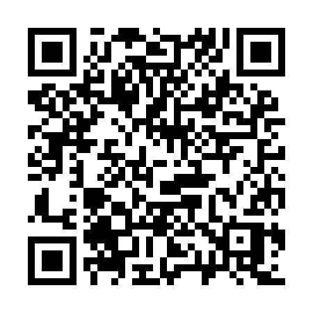 QR code for 313IKR