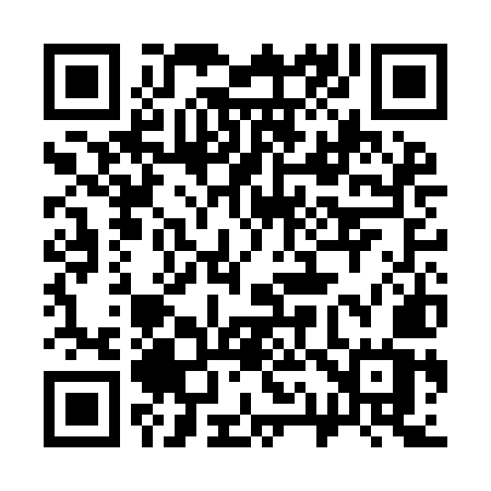 QR code for 313IMW