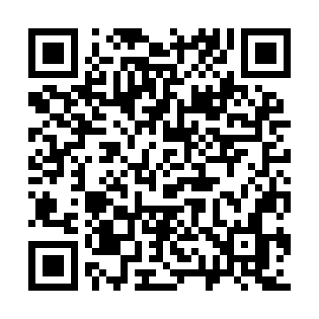 QR code for 313INN