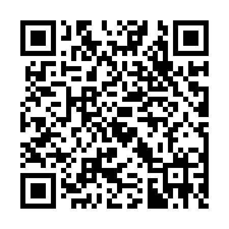 QR code for 313IZX