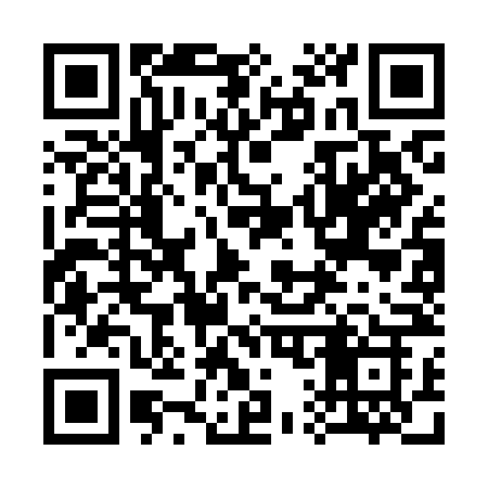 QR code for 313KNK