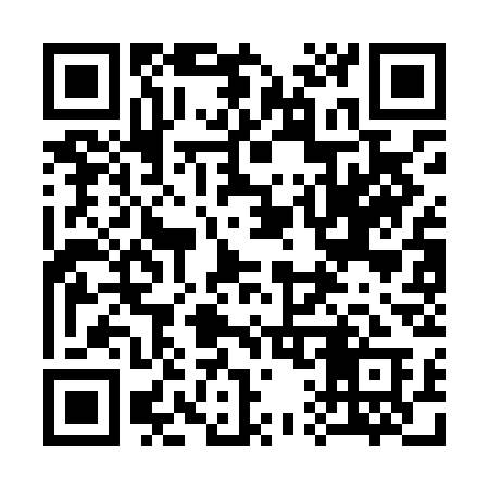 QR code for 313LCA