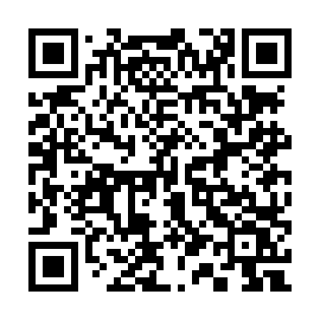 QR code for 313LLV