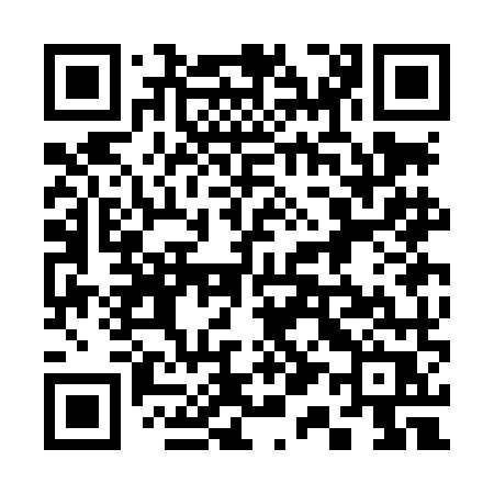 QR code for 313LMR