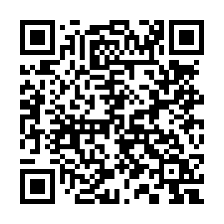 QR code for 313LSV