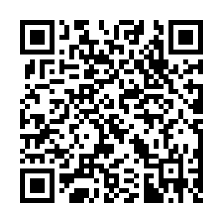 QR code for 313MCO