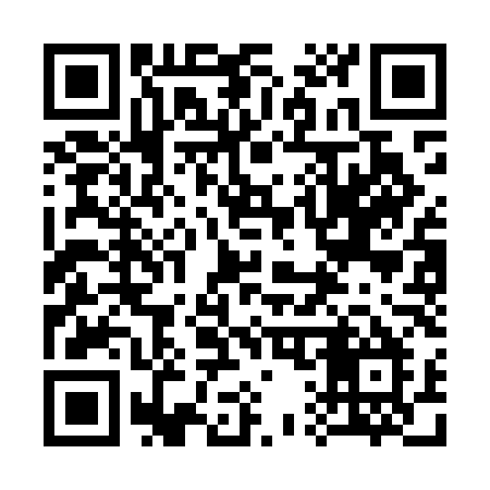 QR code for 313MLM