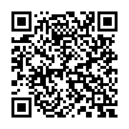 QR code for 313MUI