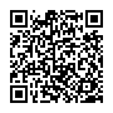 QR code for 313NSO