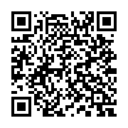 QR code for 313PUF
