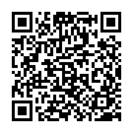 QR code for 313QUR