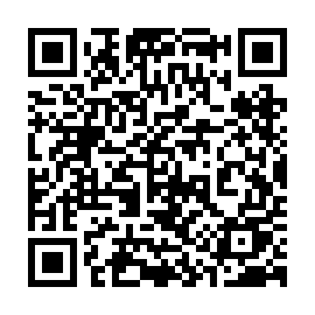 QR code for 313REU