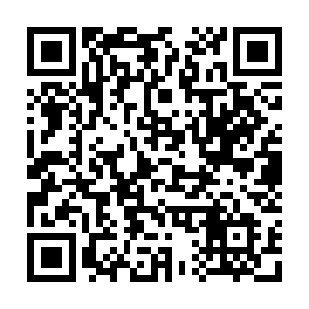 QR code for 313SCL