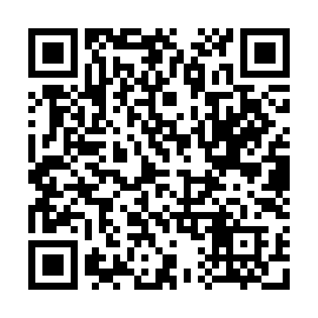QR code for 313SIB